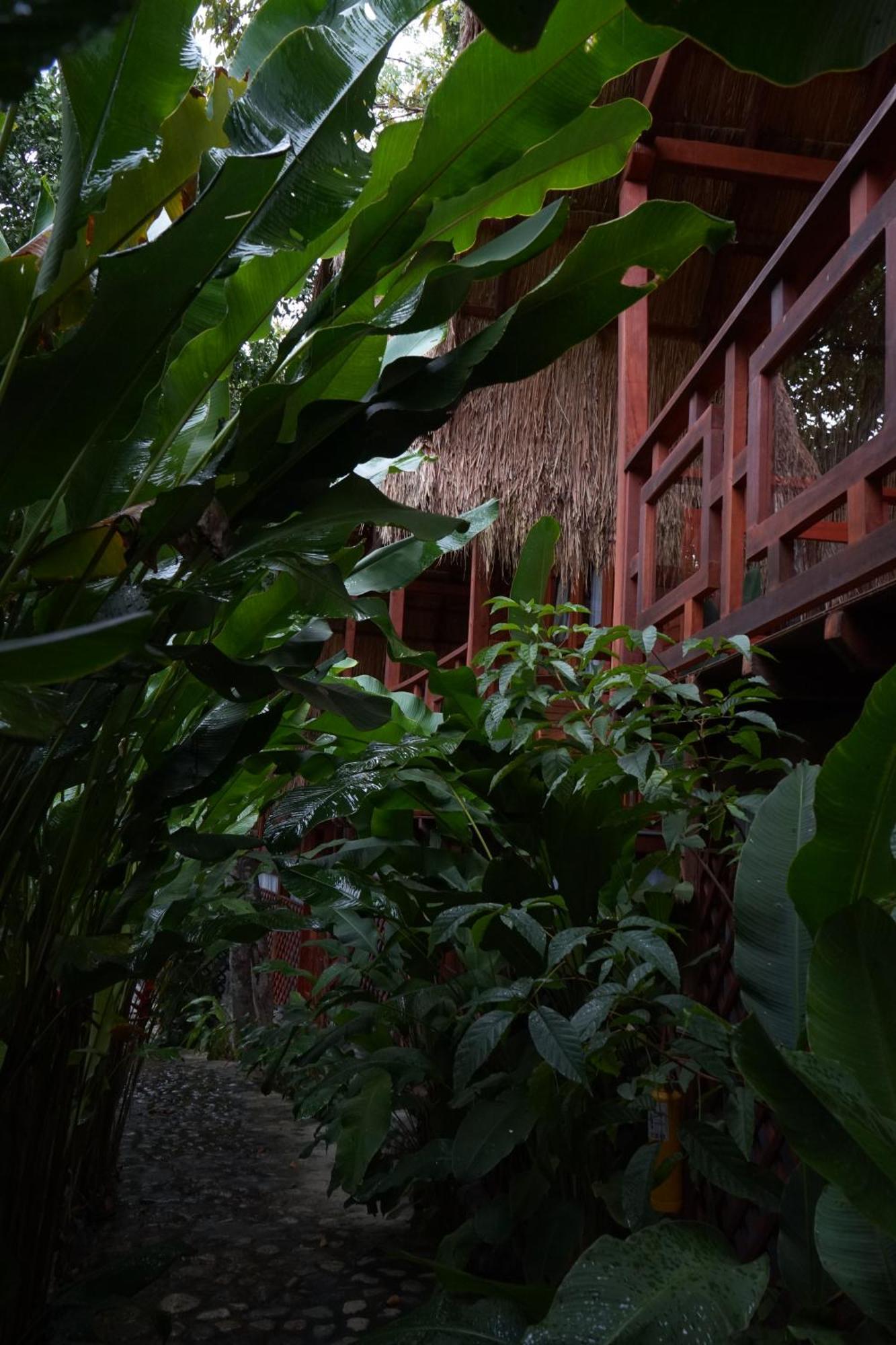 Bio Rio Hotel San Jerónimo Exteriér fotografie